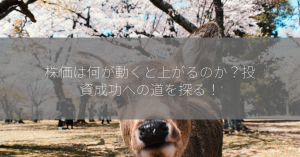 株価は何が動くと上がるのか？投資成功への道を探る！